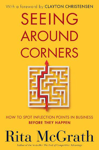 seeing around corners by rita mcgrath
