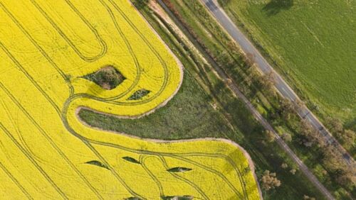 graincorp shares buy hold or sell