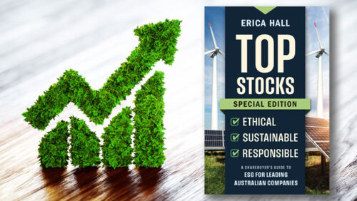 hot stocks by erica hall