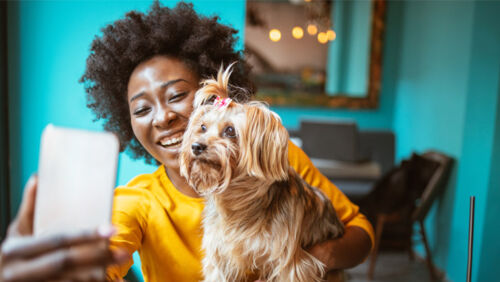 how much does it really cost to have a pet in australia