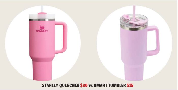 stanely cup v kmart tumbler dupe