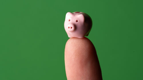 Five microcap shares to watch in 2024