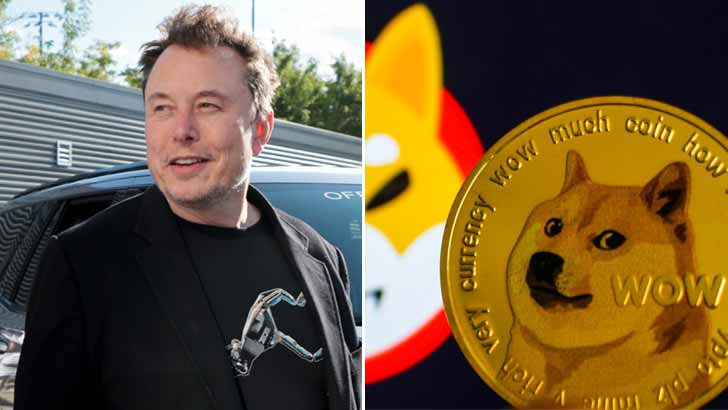 why crypto is surging elon musk doge