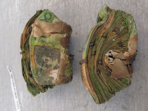 banknotes destroyed in bushfire