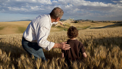 Are investment bonds the new will?