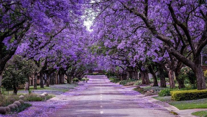 How infrastructure impacts your home value scenery