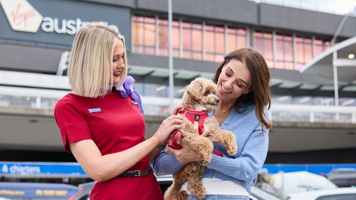 virgin australia pet friendly flight