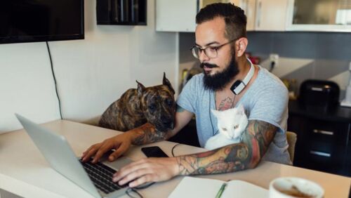 What are franking credits and why do they matter?