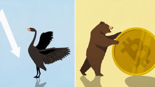 quirky-investing-terms-explained.jpg