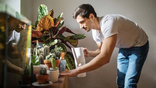 new investor watering plants understands the importance of starting small