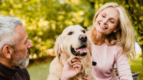Retired Australian couple reviewing SMSF investments and planning retirement income