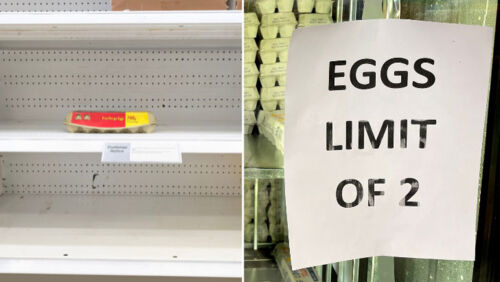 egg prices are expected to rise after bird flu outbreak hits australia