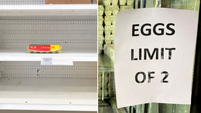 egg prices are expected to rise after bird flu outbreak hits australia