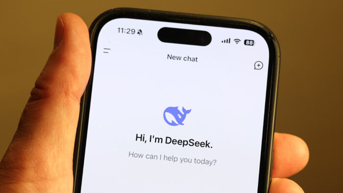 DeepSeek